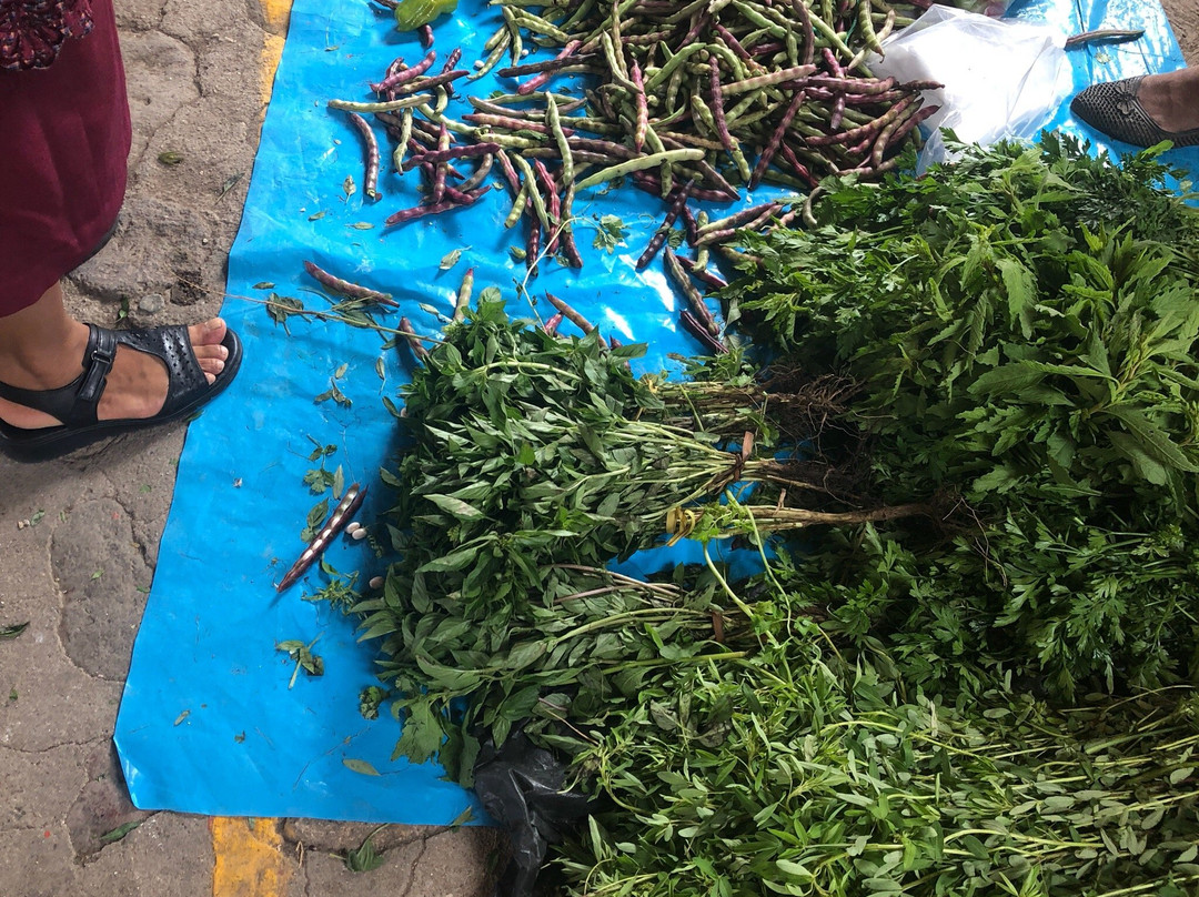 El Sabor Zapoteco景点图片