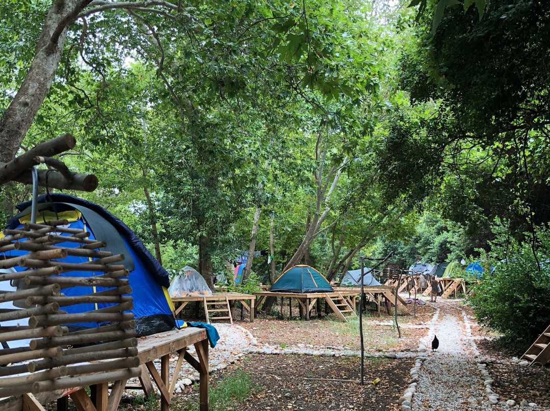Camp Meeting Point