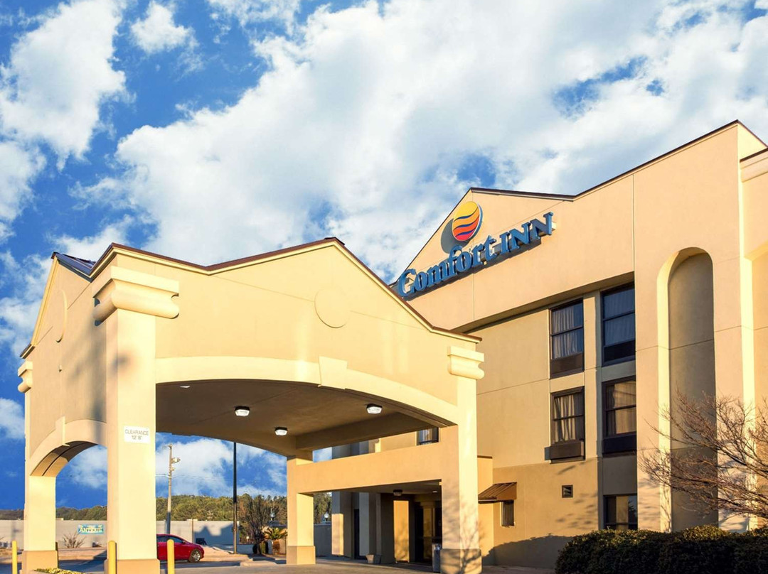 Comfort Inn Opelika - Auburn主图