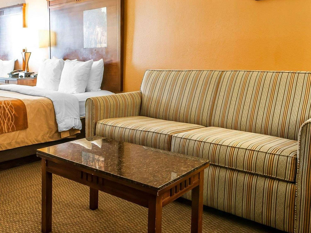 Comfort Inn & Suites - Midtown主图