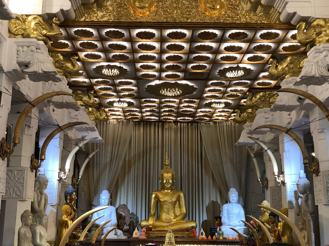 World Buddhist Museum景点图片