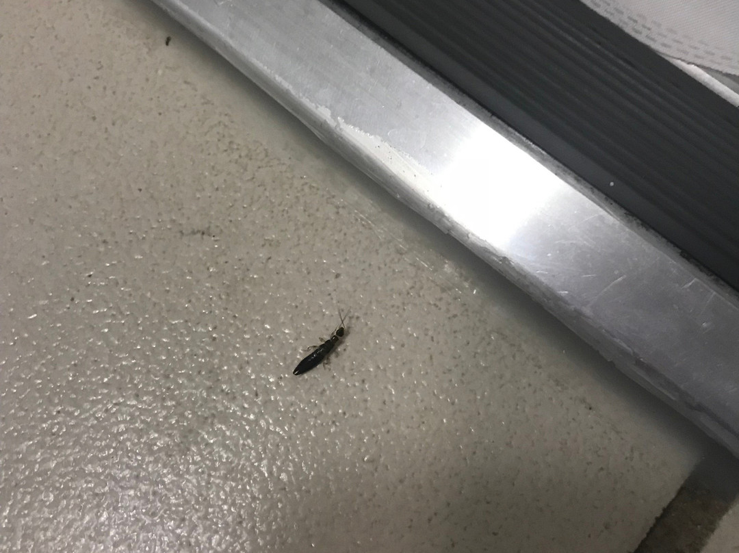 Quality Inn Richmond By Choice Hotels主图