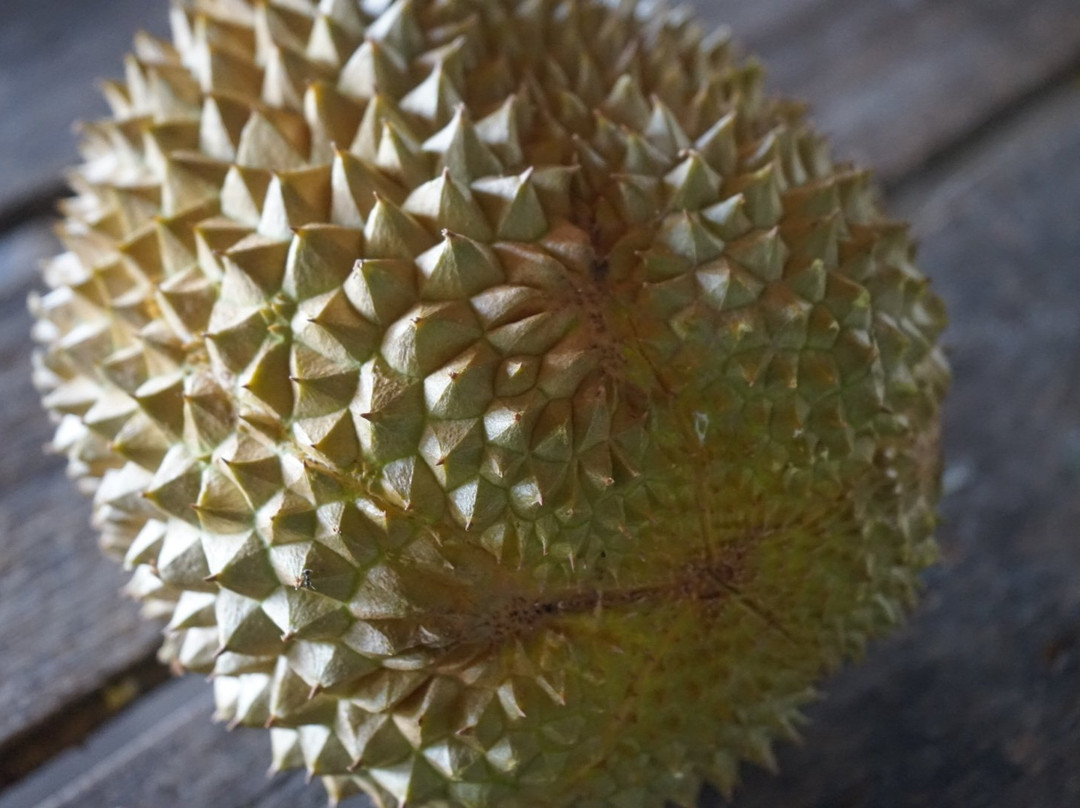 Bao Sheng Durian Farm景点图片