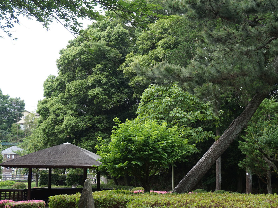 Serizawa Park-座间市必去景点