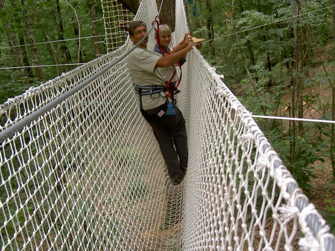 FUN FOREST Parcours Aventure-Fontaine-le-Comte必去景点