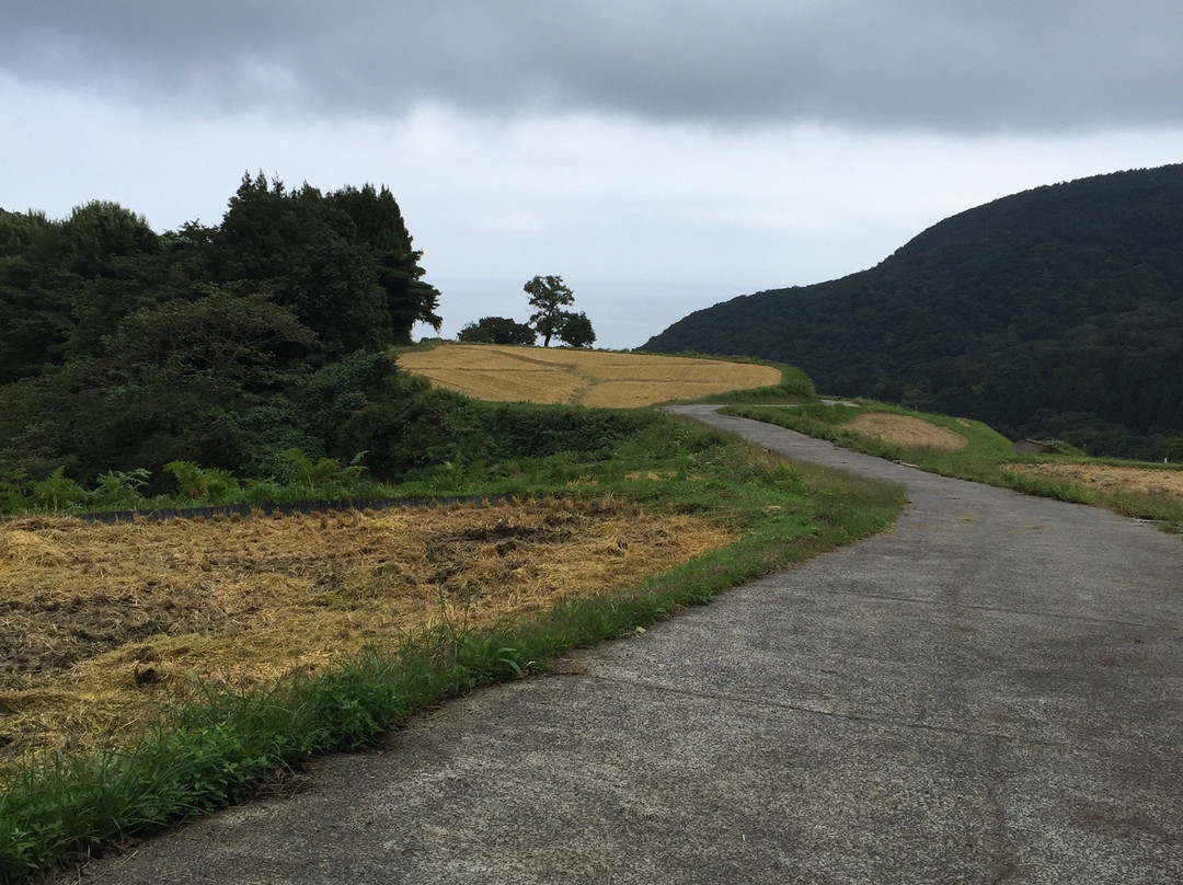 Ogura Senmaida-佐渡市必去景点
