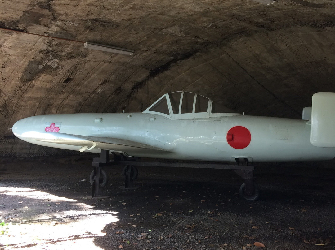 Oka Park-鹿岛市必去景点