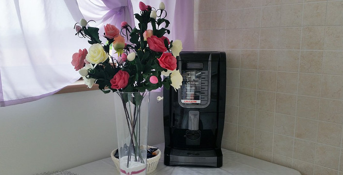 玫瑰住宿加早餐旅馆主图