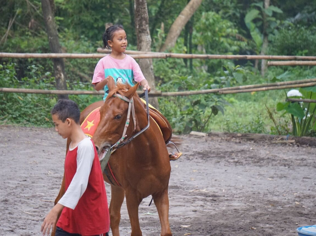 Bale Kuda Stable-Sleman District必去景点