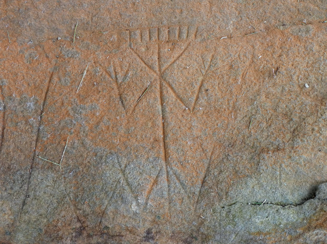 Centre d'Archéologie Amérindienne de Kourou景点图片