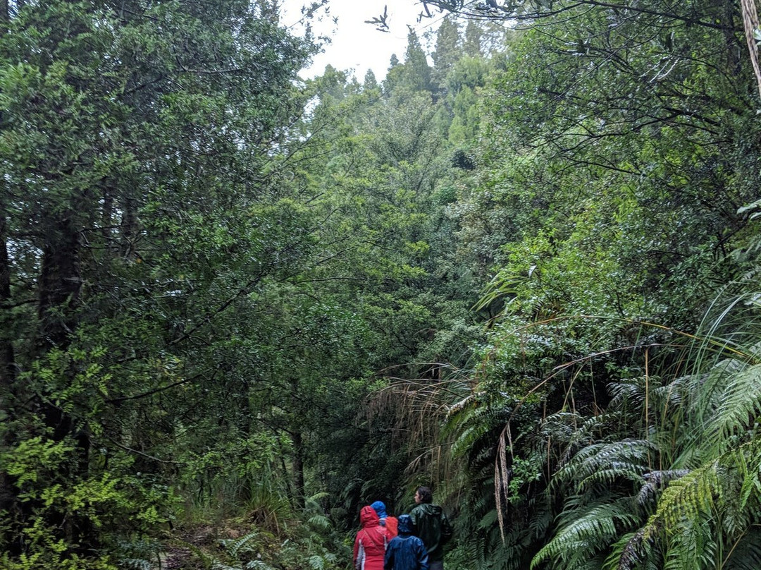 Waitawheta Tramway-陶兰加必去景点