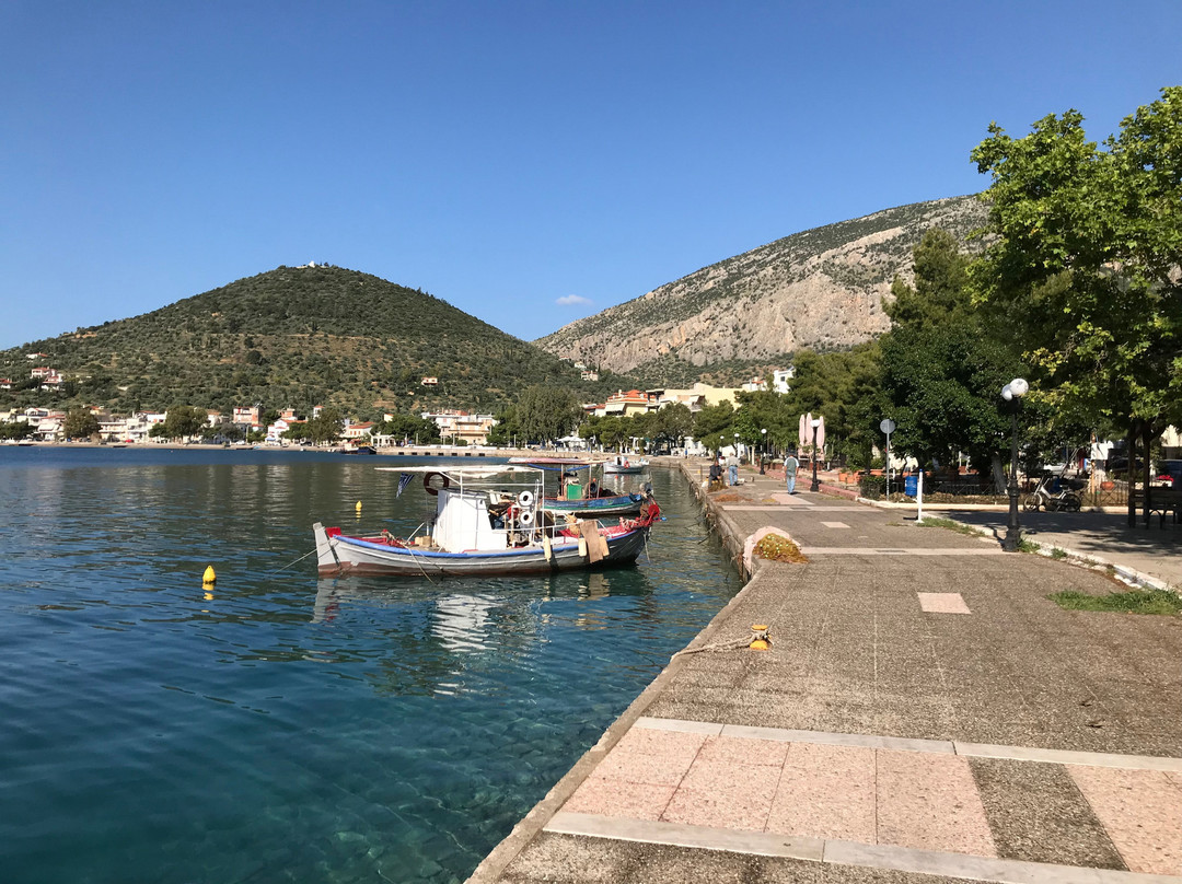 Antikyra旅游攻略图片