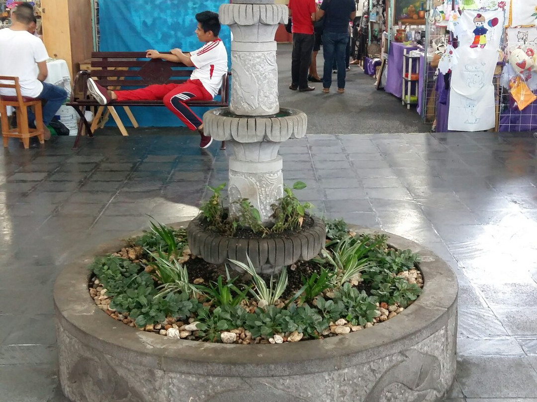 Mercado de Artesanias de las Altas Montanas景点图片