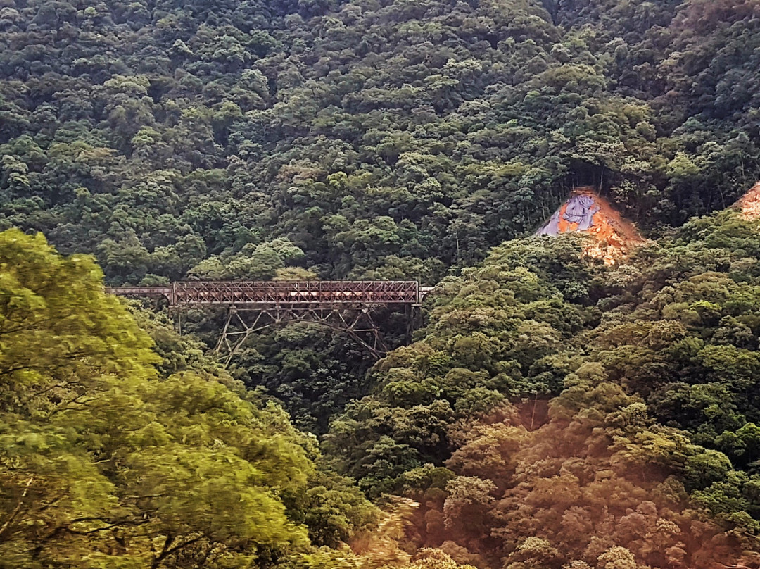 Ponte São João景点图片