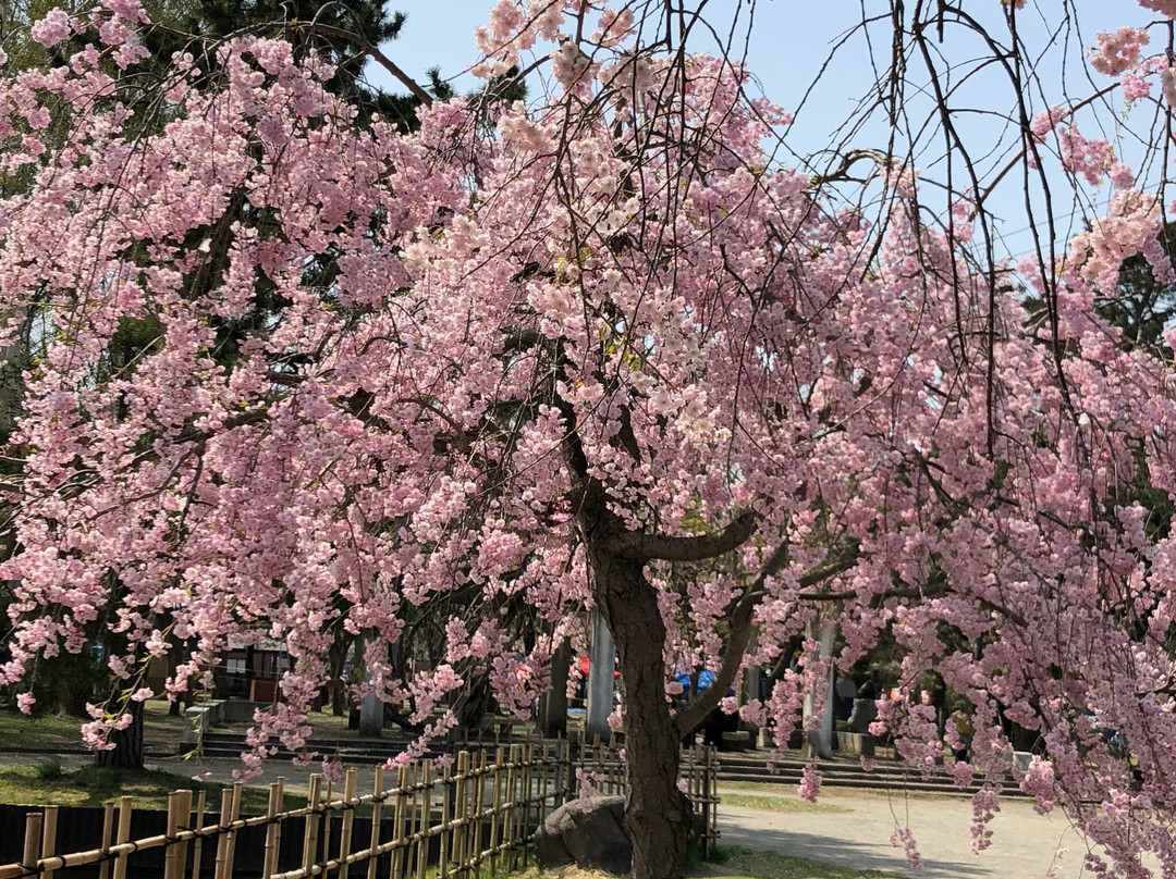 Gappo Park-青森市必去景点