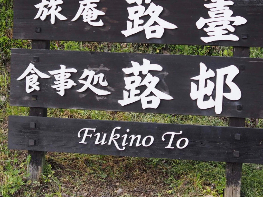 Fukinoto主图