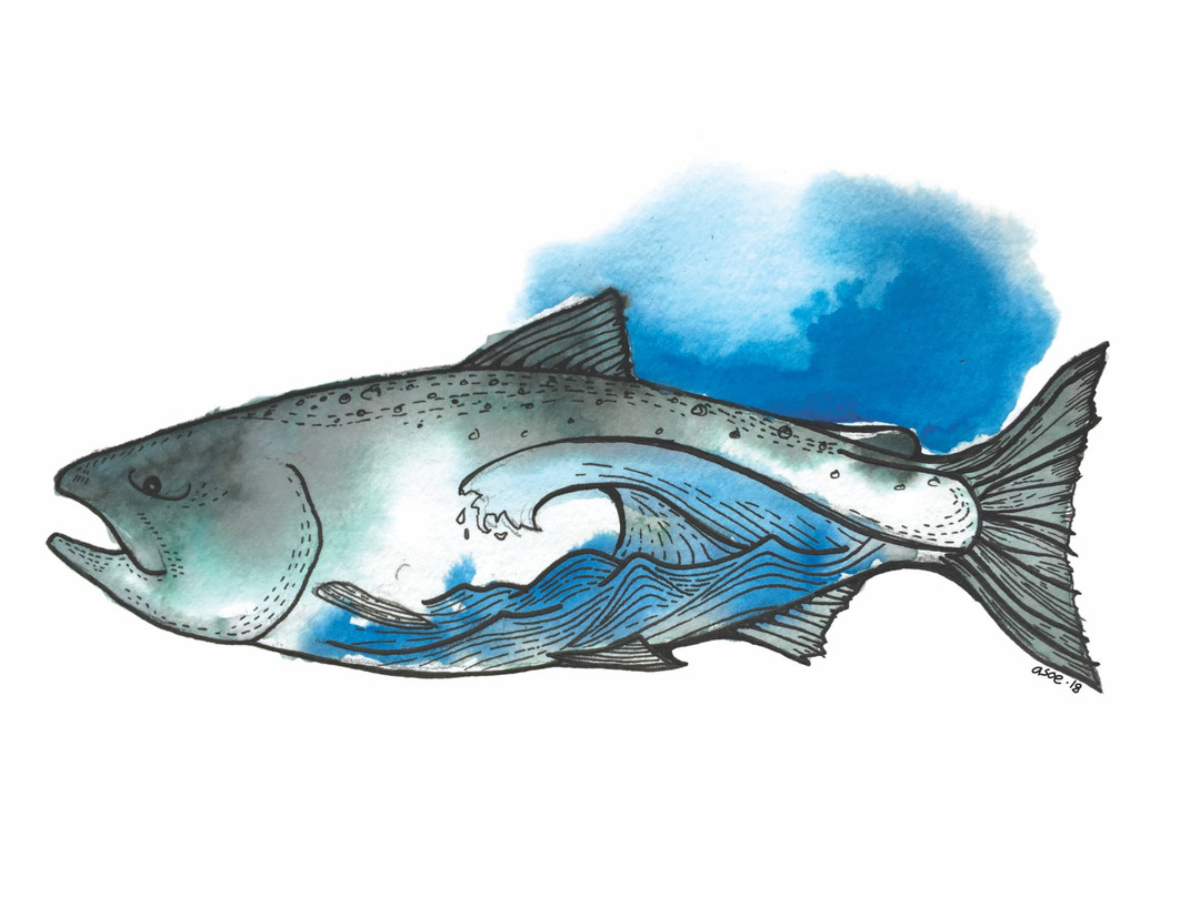 OTB Charters-Garden Bay必去景点