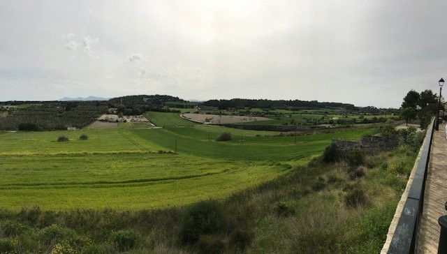 Can Ribera by Zafiro主图