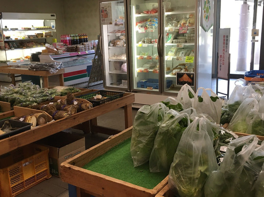 Yachiyo Green Village-八千代町必去景点