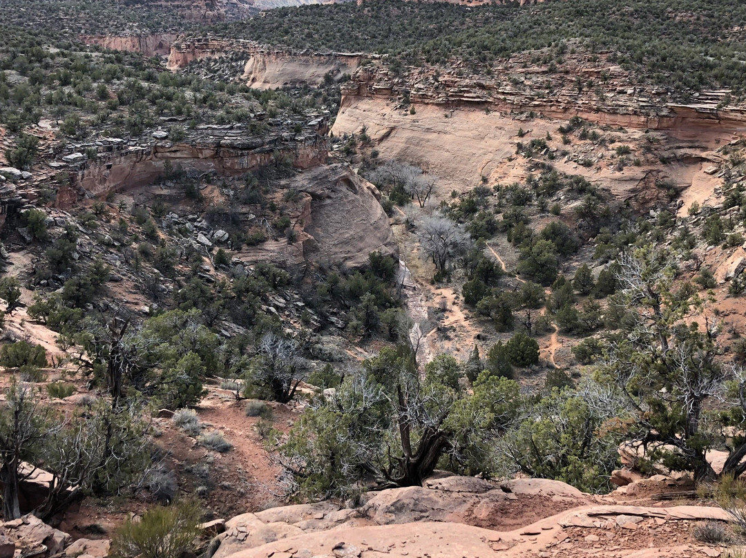 Rattlesnake Canyon-弗鲁塔必去景点