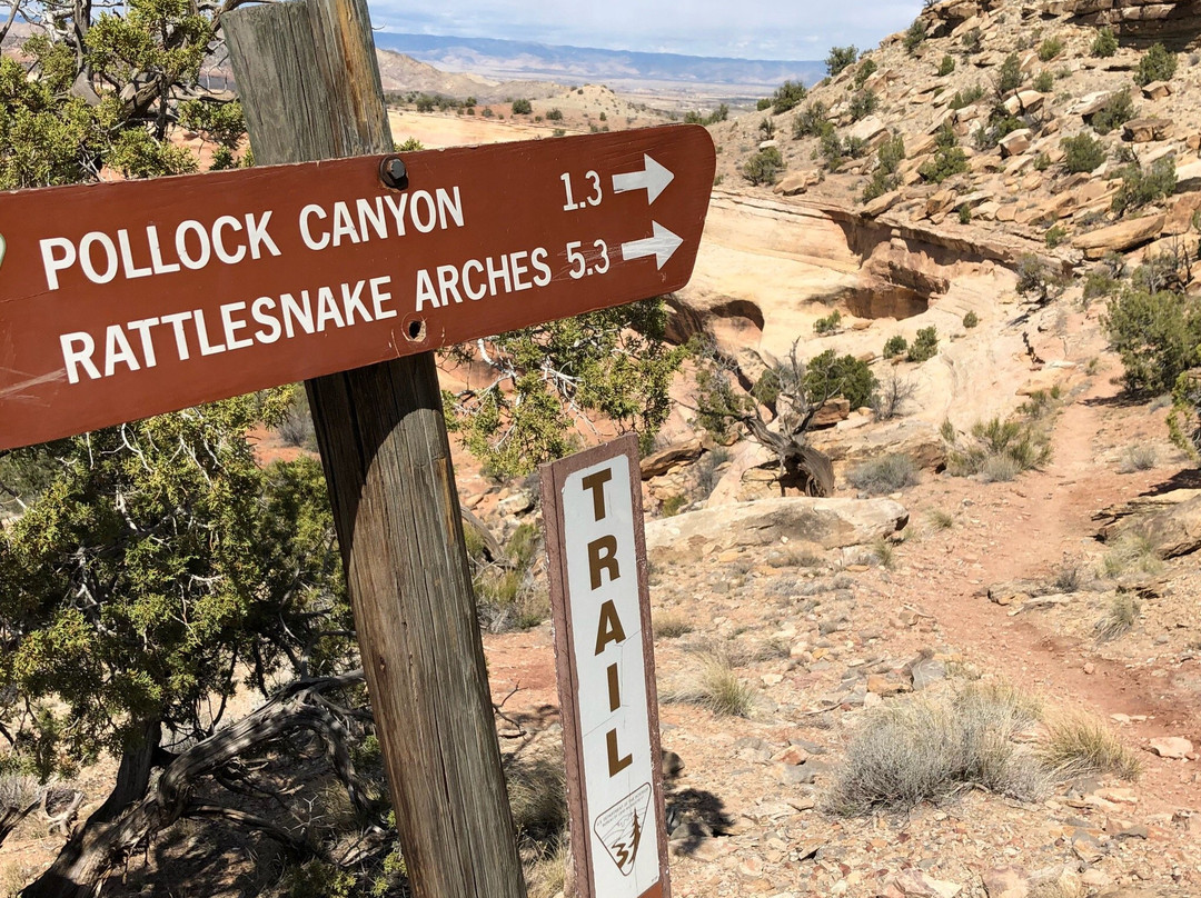 Rattlesnake Canyon-弗鲁塔必去景点