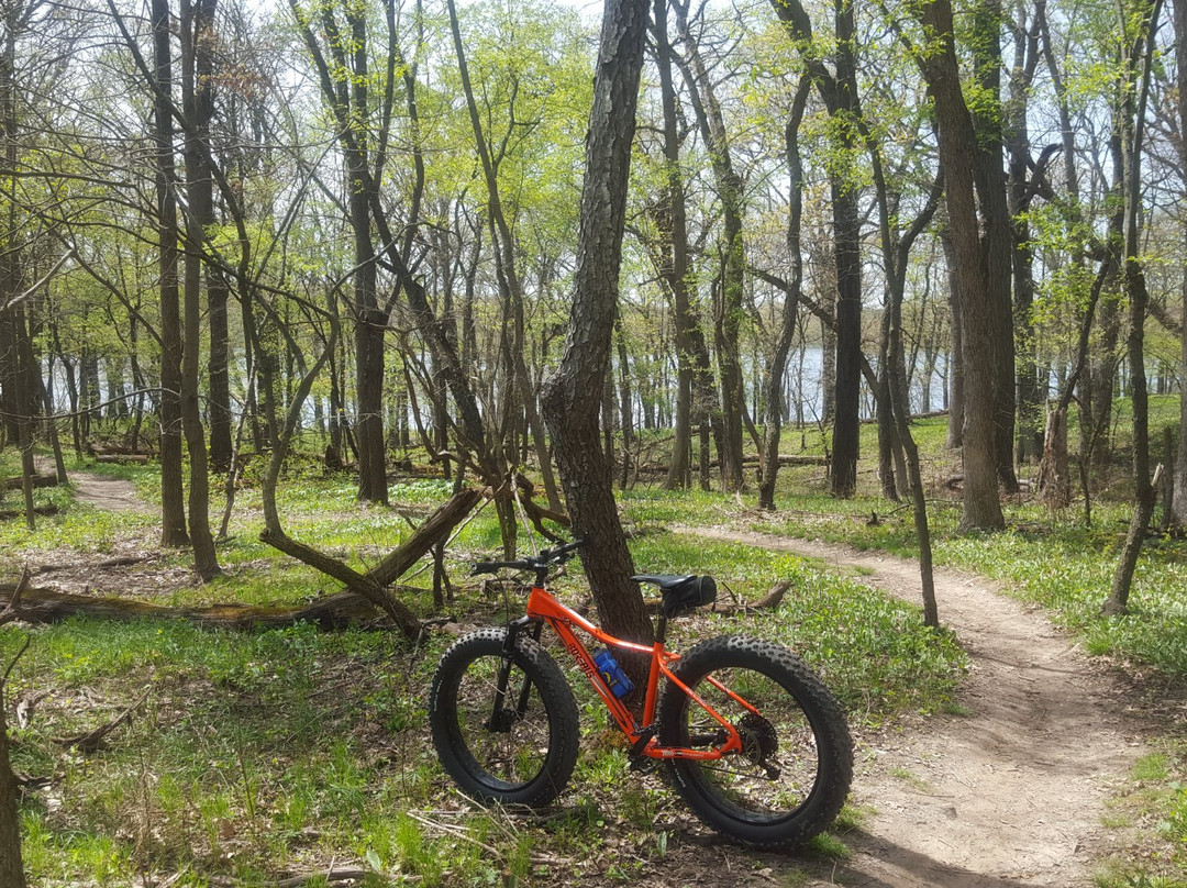 Up North Guided Tours-诺斯布鲁克必去景点