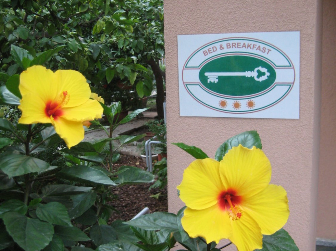 B&B Fiordarancio主图