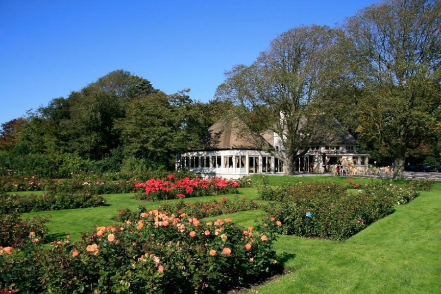 Rosarium All-You-Can-Eat Westbroekpark