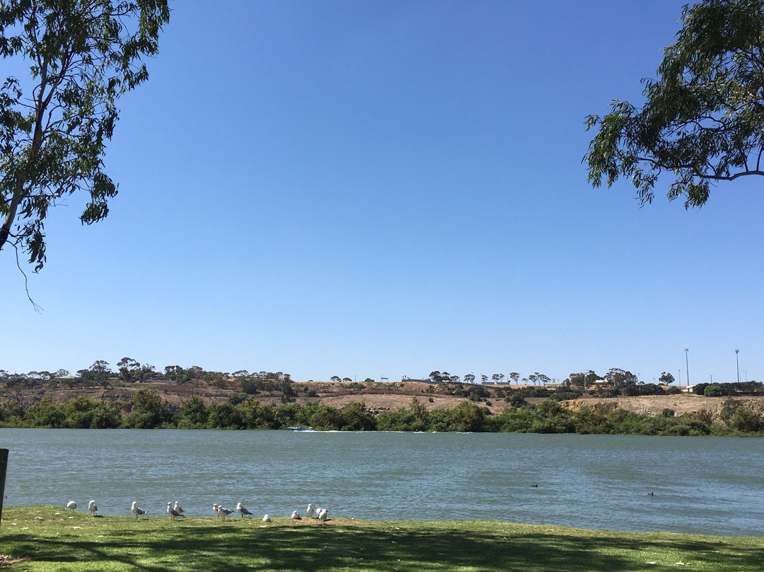 Lavender Federation Walking Trail景点图片