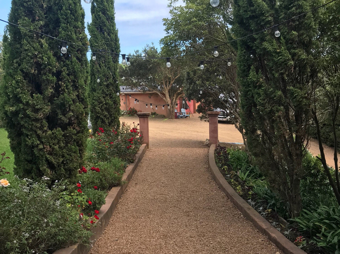 Waiheke Island Wine Tours景点图片