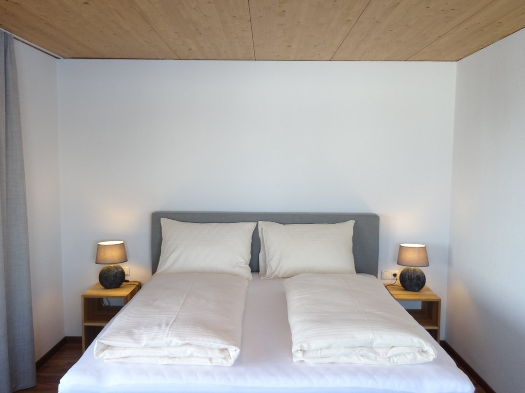 Panoramahotel Sonnhalde主图