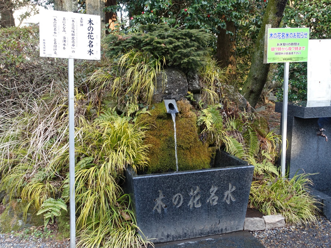 Niihashi Sengen Shrine景点图片