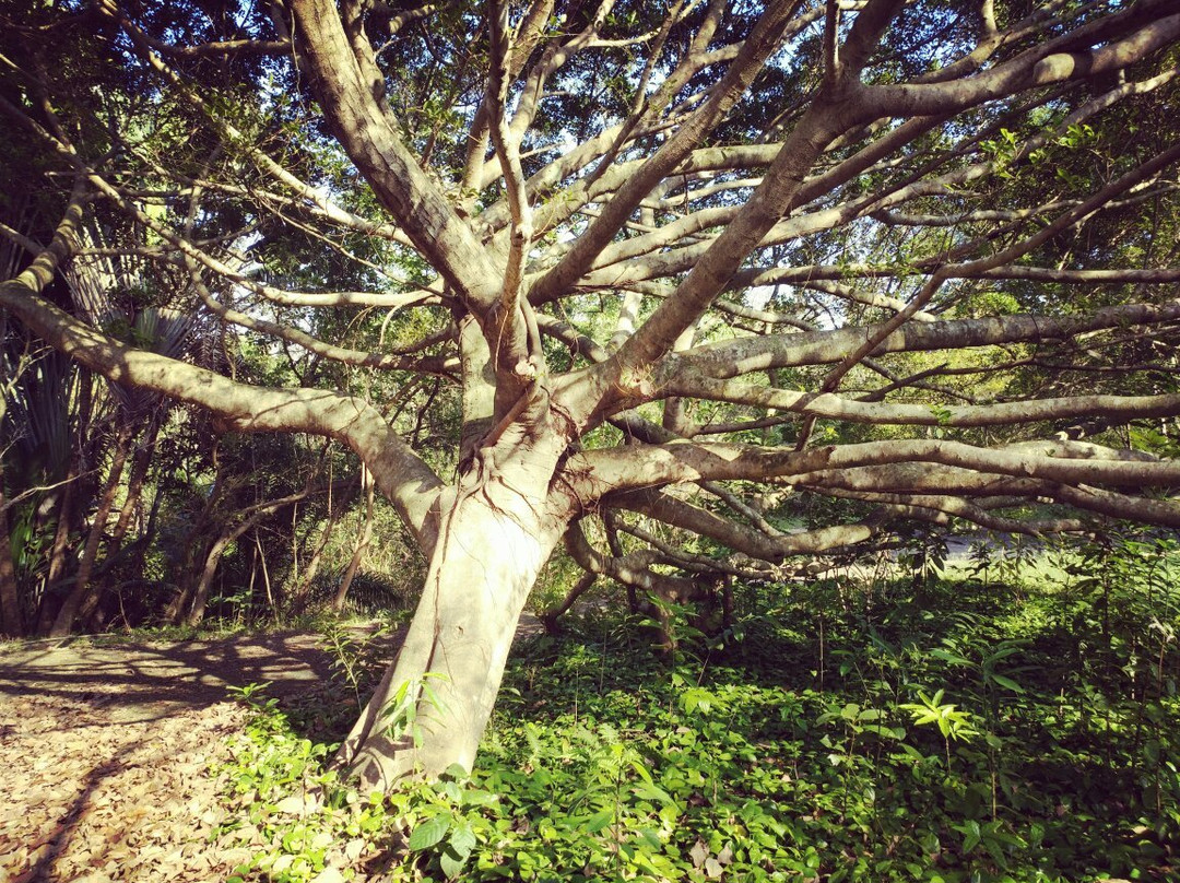兴隆热带花园-万宁市必去景点