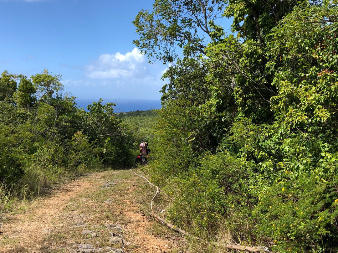 Aïchi-Fun-Saint Louis必去景点