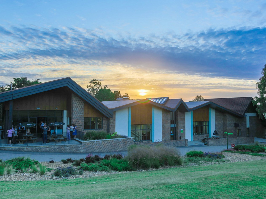 Tilgate Forest Golf Centre景点图片