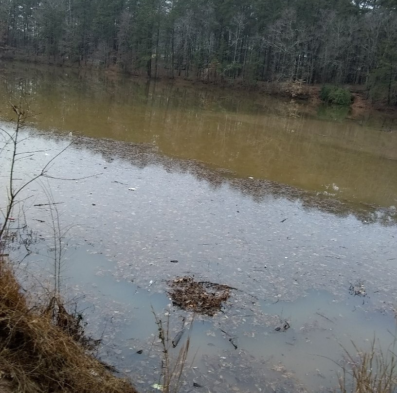 Murphey Candler Park-Brookhaven必去景点
