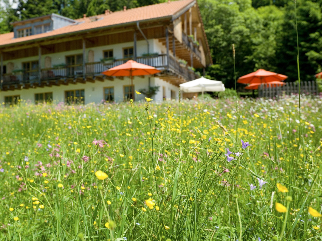 Fohlenhof Schönheitsfarm