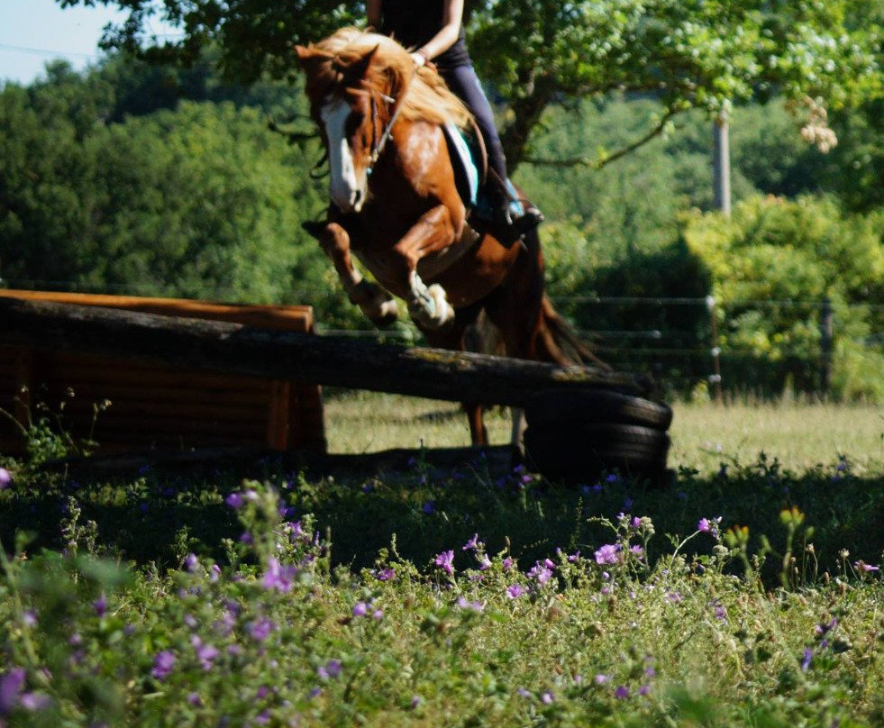 Ferme Equestre de la Gresigne-Saint-Beauzile必去景点