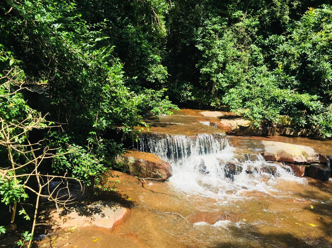 Krantzkloof Nature Reserve景点图片