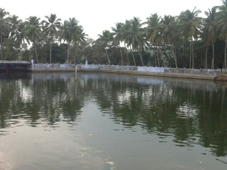 Meenkulathi Bhagavathi AmmanTemple-Palakkad必去景点