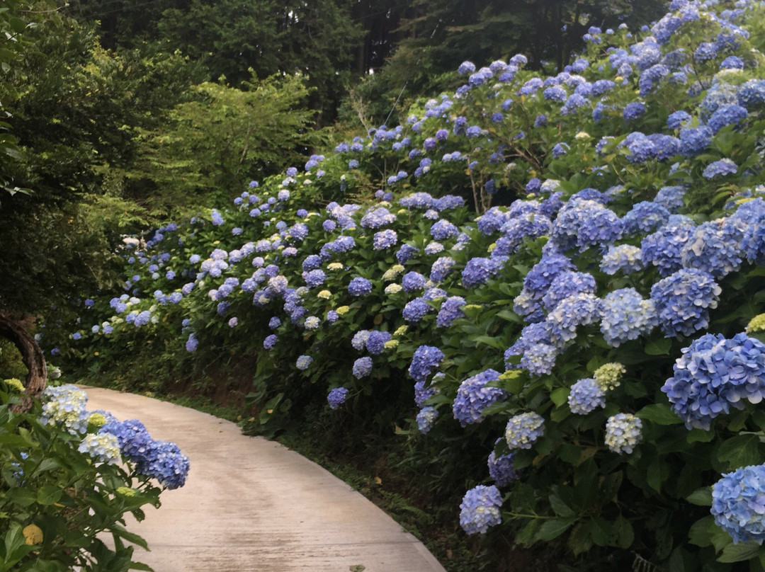 Mamenbara Tenbaien-大多喜町必去景点