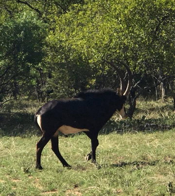 Unathi Game Lodge主图