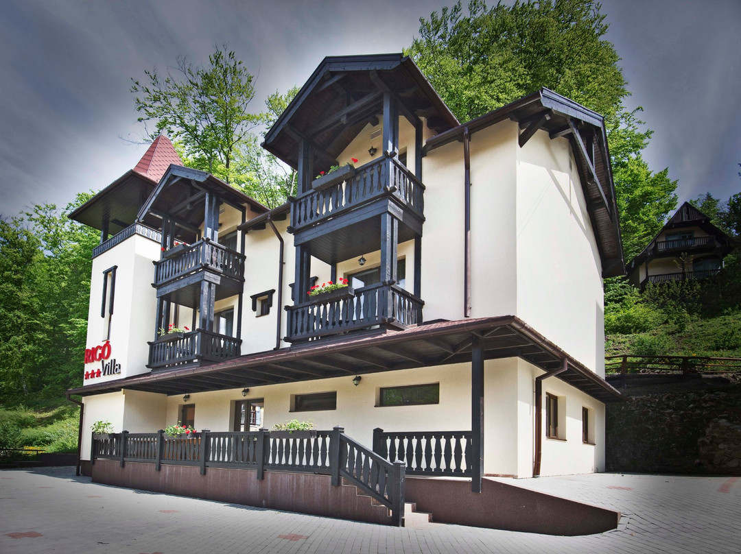 Vila Rigo Sovata