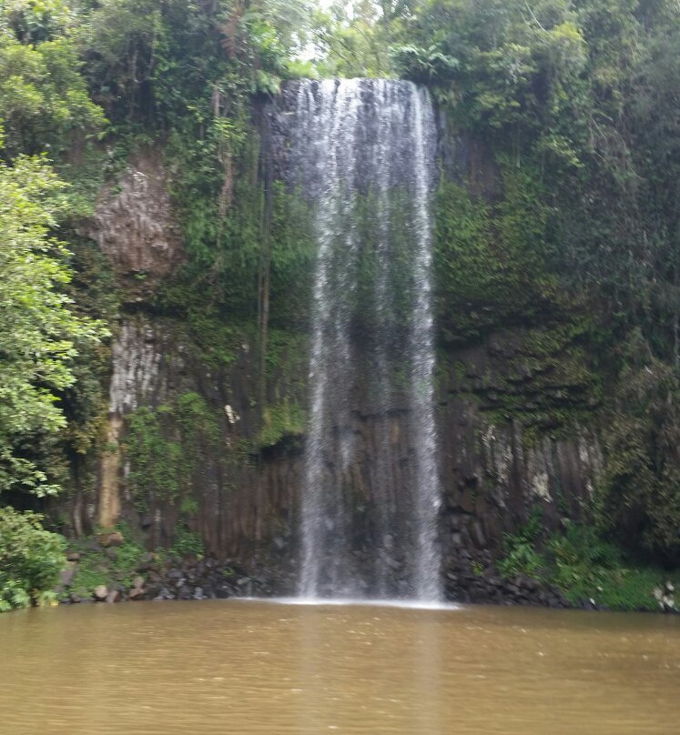 Mamu Tropical Skywalk-因尼斯费尔必去景点