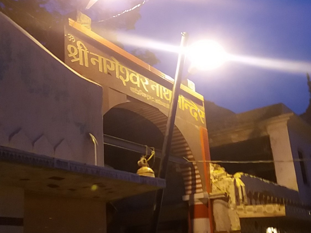 Nageshwarnath Temple景点图片