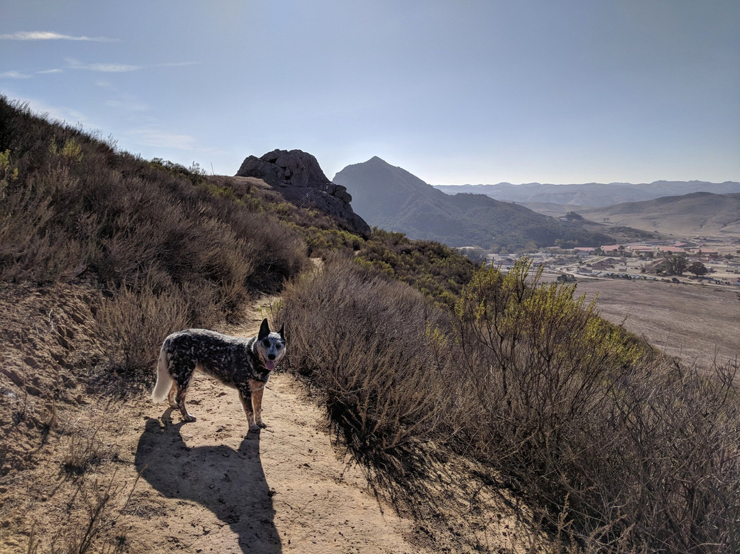 El Chorro Regional Park景点图片