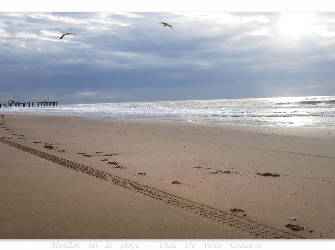 奥斯坦德旅游攻略图片