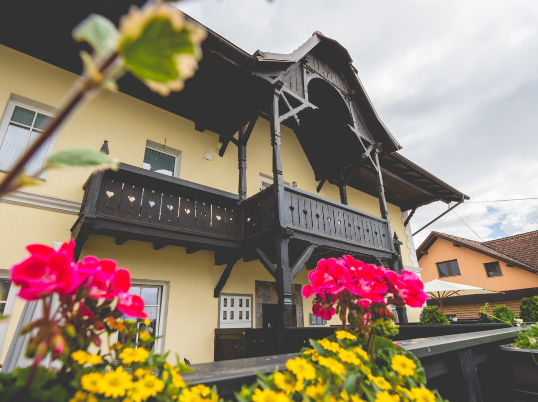 Slovenian House Vida