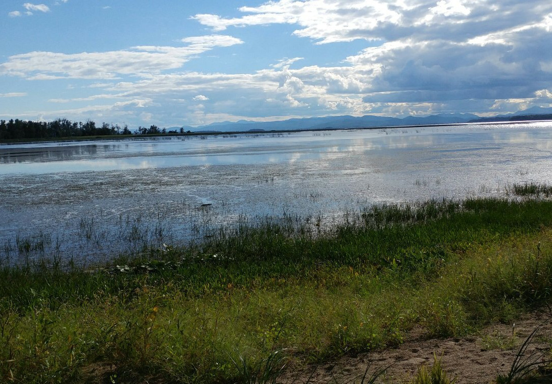 Sharp Park-Milton必去景点