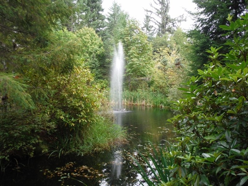 Kitty Coleman Woodland Gardens景点图片